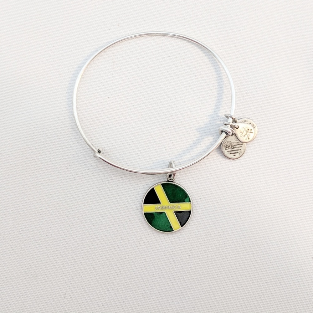 Alex and Ani Silver Jamaica Charm Bracelet - Picture 4 of 7